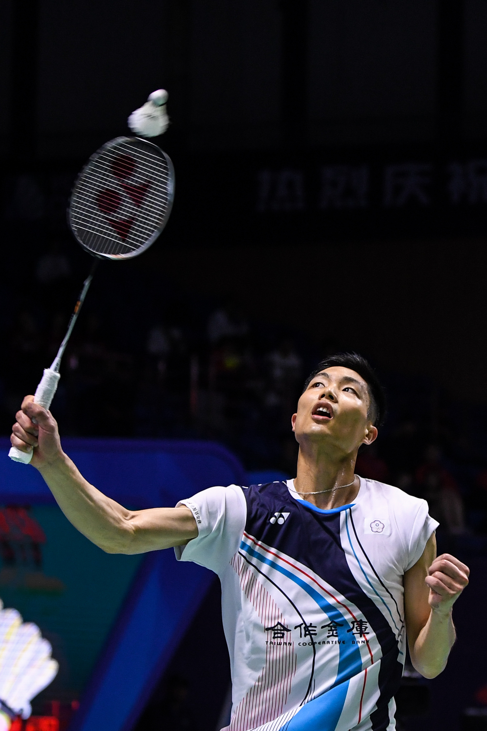 它们将为全 它们将为全