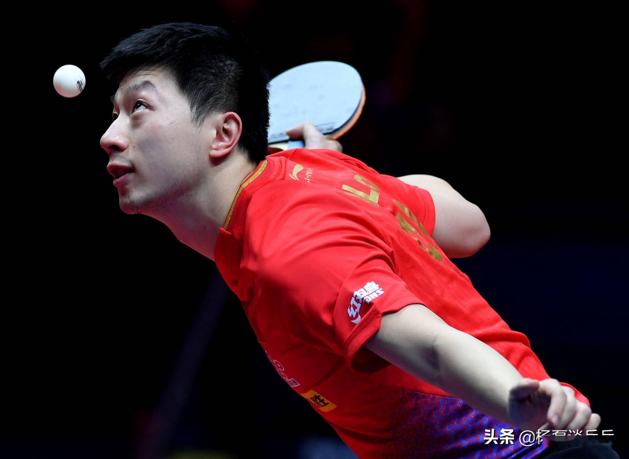 龙针对性夹 龙针对性夹